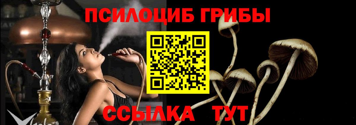 Галлюциногенные грибы прущие грибы Свободный
